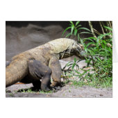 Komodo Dragon (0767) (Front Horizontal)