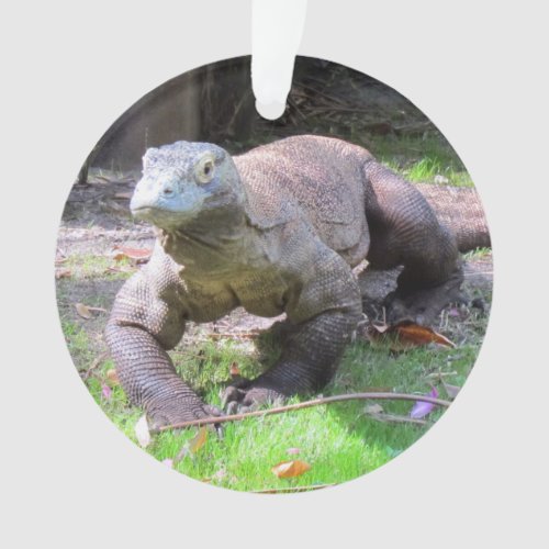 Komodo Dragon _ Acrylic Ornament