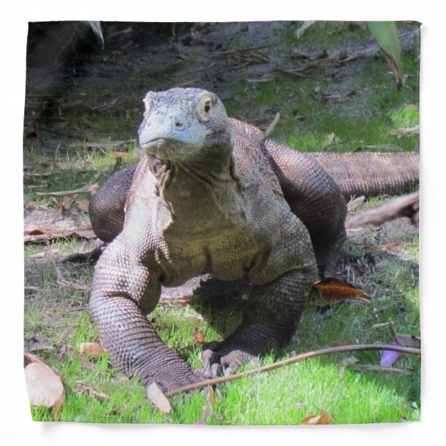 Komodo Dragon Bandana (Front)