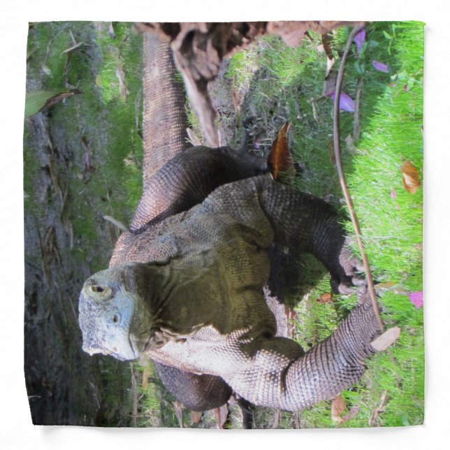 Komodo Dragon Bandana (Front)