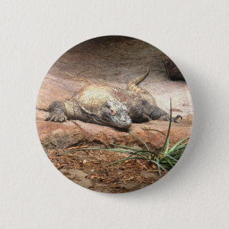 Komodo Dragon Button