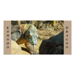 Komodo Dragon Card