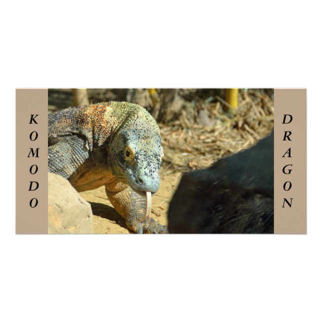 Komodo Dragon Card (Front)