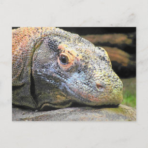 Komodo Dragon Close Up Profile Postcard