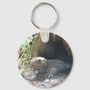 Komodo Dragon Coming Out Of His Home Under Tree Keychain