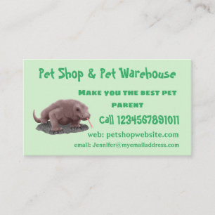 Komodo dragon illustration business card