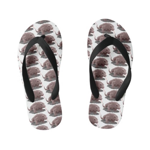 Komodo dragon illustration kids flip flops