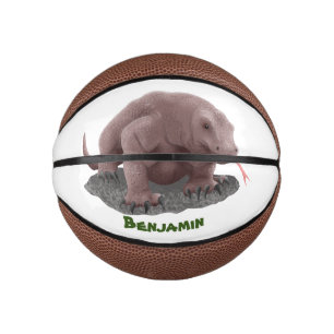 Komodo dragon illustration mini basketball