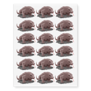 Komodo dragon illustration temporary tattoos