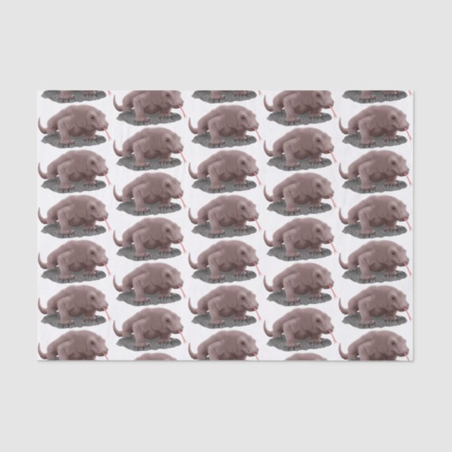 Komodo dragon illustration tissue paper (Front)