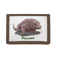 Komodo dragon illustration