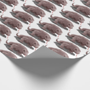 Komodo dragon illustration wrapping paper