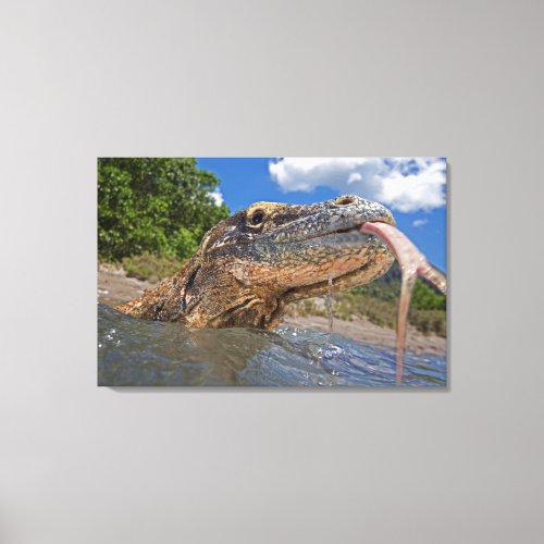 Komodo Dragon In Shallow Water Canvas Print