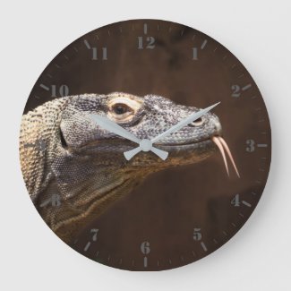 Komodo dragon