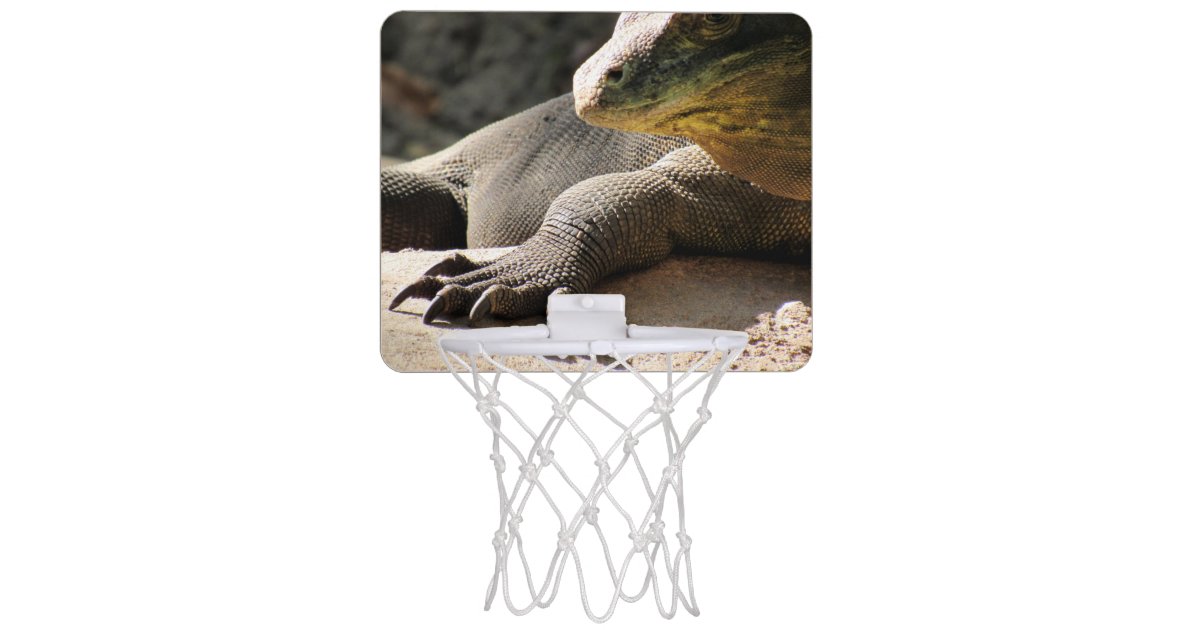 QDRAGON Mini Basketball Hoop