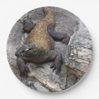 Komodo Dragon Nature Close-up