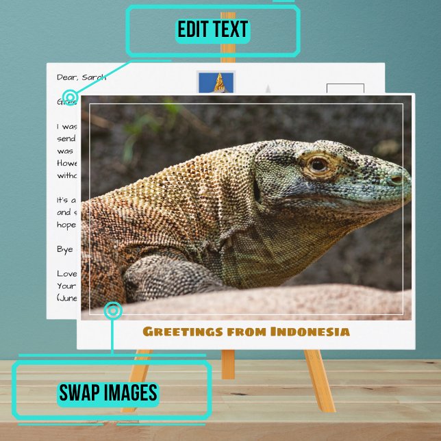 Komodo Dragon of Indonesia Modern Postcard (Share your experiences with these stylish template postcards.)