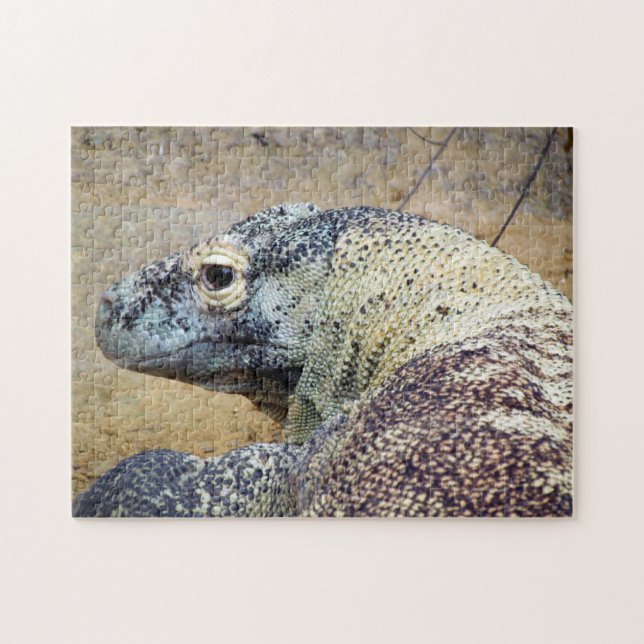Komodo Dragon Puzzle (Horizontal)