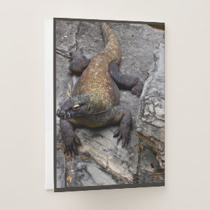 Komodo Dragon Rocky Terrain Pocket Folder