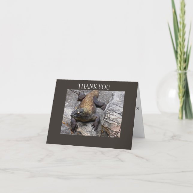 Komodo Dragon Rocky  Thank You Card (Front)