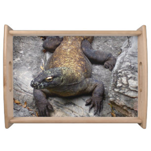 Komodo Dragon Sunlit Rocks Serving Tray