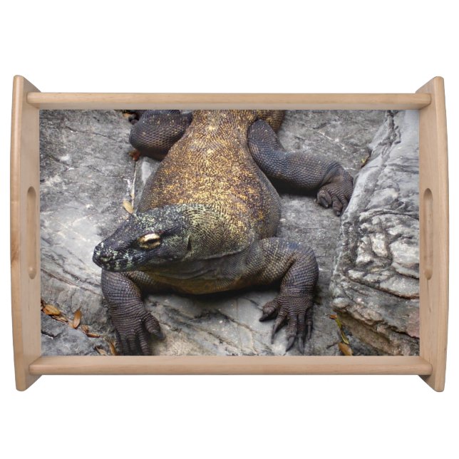 Komodo Dragon Sunlit Rocks Serving Tray (Front)