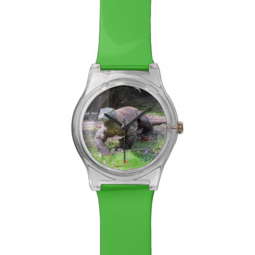 Komodo Dragon Watch - May 28th Watch