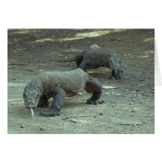 Komodo Dragons Cards
