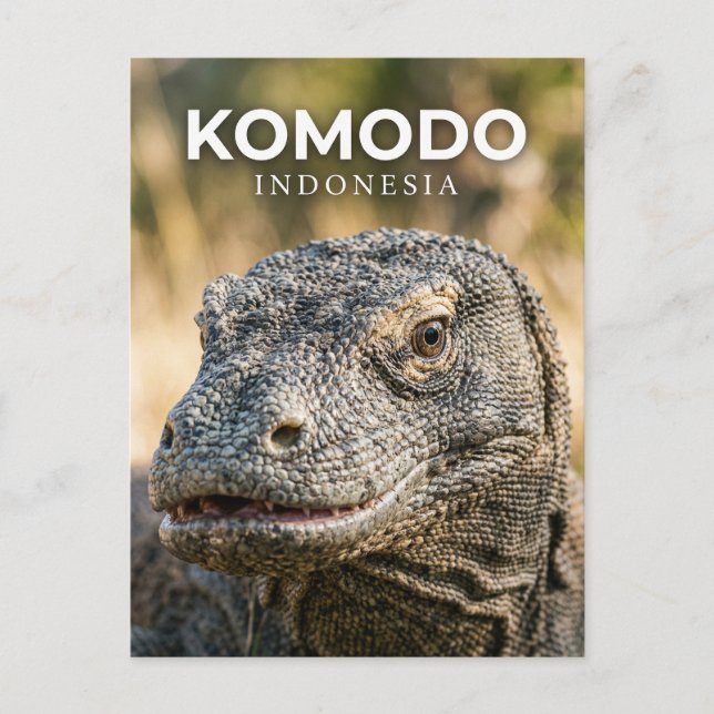 Komodo National Park Indonesia Postcard (Front)