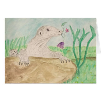 komodos cards