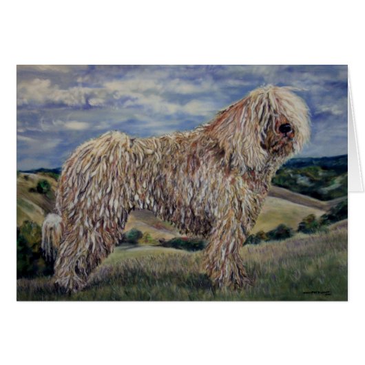Komondor (Front Horizontal)