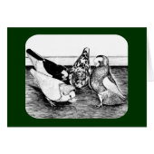 Komorner Tumbler Pigeon Quartet (Front Horizontal)