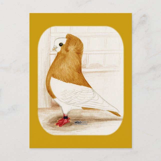 Komorner Yellow Mag Pigeon 1973 Postcard (Front)