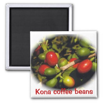 Kona Coffee Beans Magnet by Rebecca_Reeder at Zazzle
