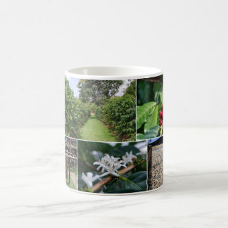 Kona Coffee Plantation Hawaii Collage Mug