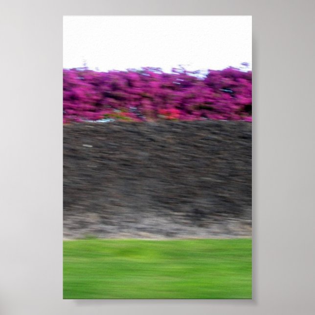 kona colors poster (Front)