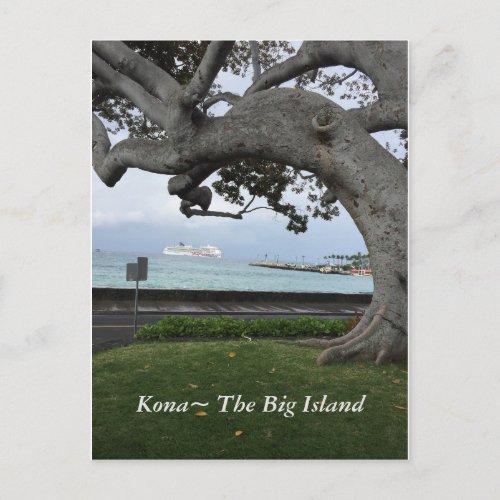 Kona Hawaii The Big Island Postcard