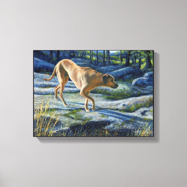 “Kona on the Granite Trail” Canvas Print (Front)