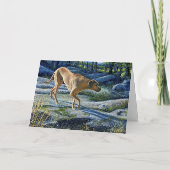 “Kona on the Granite Trail” Card (Front)