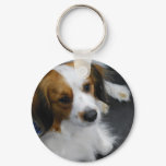 Kooikerhondje Dog Keychain