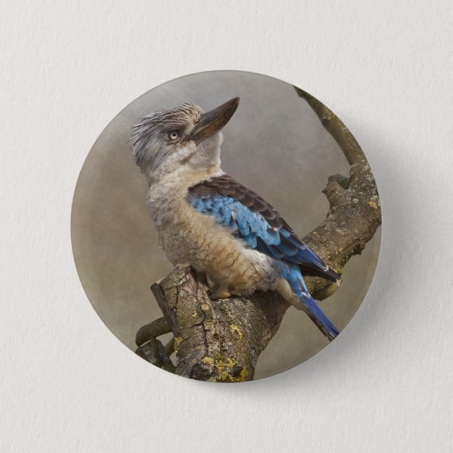 Kookaburra Badge Pinback Button (Front)