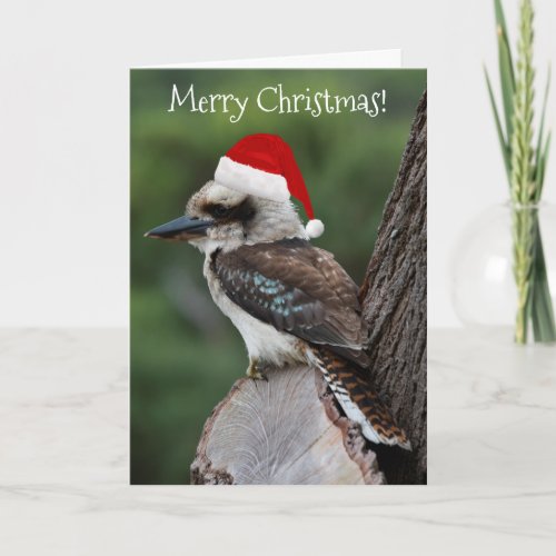 Kookaburra Bird Animal Red Santa Hat Christmas Card
