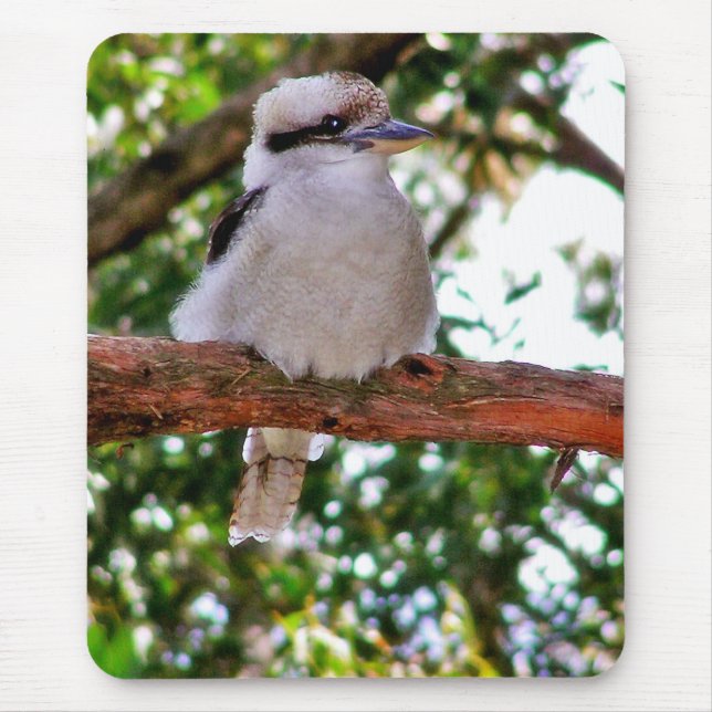 Kookaburra Bird on a tree branch Mousepad (Front)