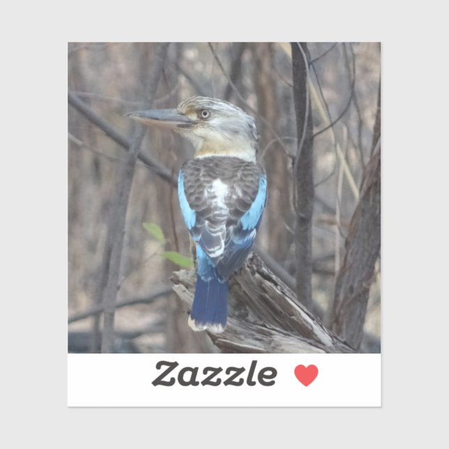 Kookaburra Bird Sticker (Sheet)