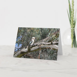Kookaburra Birthday Card