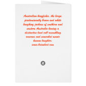 Kookaburra Cards (Back)