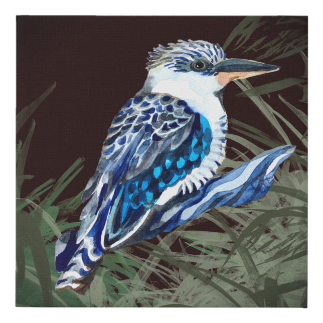Kookaburra Faux Canvas Print (Front)