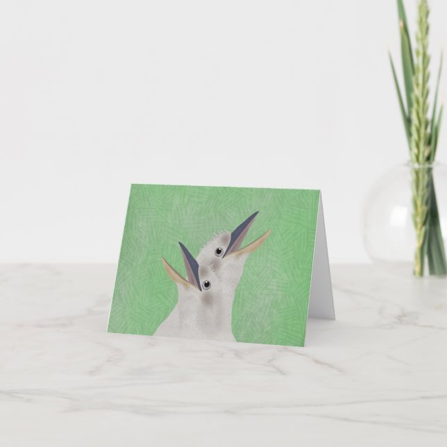 Kookaburra Greeting Card (Front)