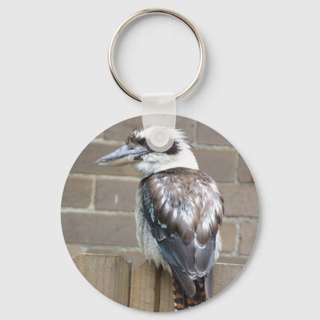 Kookaburra Key Ring (Front)
