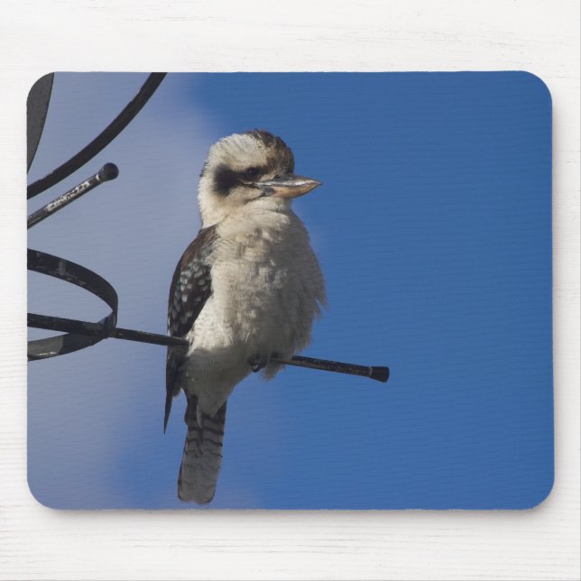 Kookaburra Mouse Pad (Front)